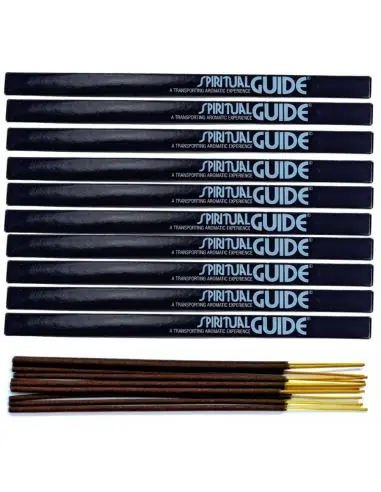 Encens Spiritual Guide. Lot de 80 bâtons | Padmini