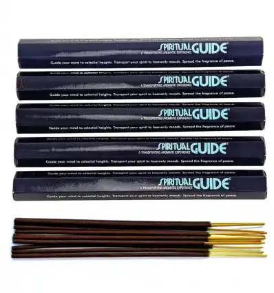 Encens Spiritual Guide. Lot de 5x20g | Padmini