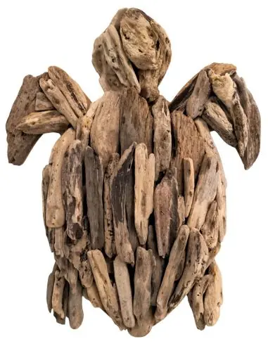 Tortue en bois flotté 50cm. Décoration murale.