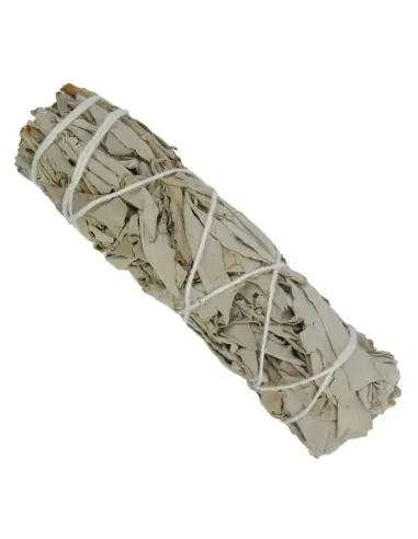 Bâton de fumigation de Sauge Blanche de Californie / Smudge 25-30g