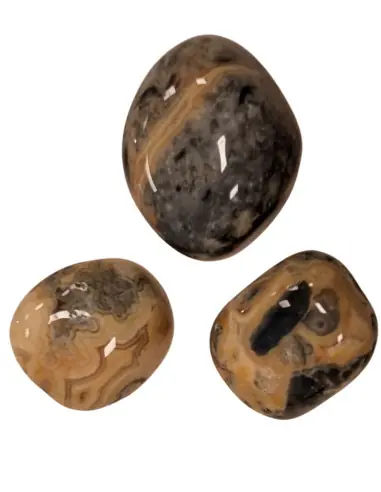 Agate Crazy Lace- Pierres roulées 40/50g