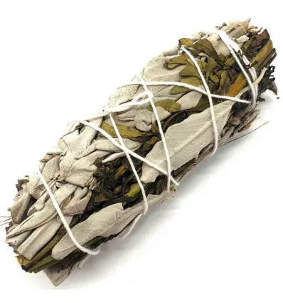 Bâton de fumigation Sauge Blanche & Arruda - Smudge +/- 25g