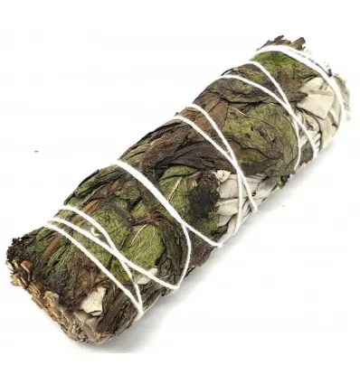 Bâton de fumigation Sauge Blanche & Menthe - Smudge +/- 25g
