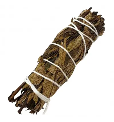Bâton de fumigation Sauge Noire Armoise - Smudge +/- 25g