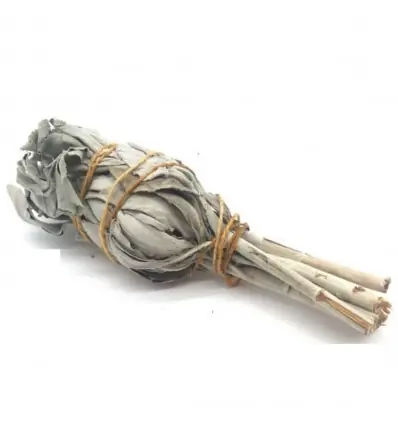 Sauge Blanche de Californie - Torche 15/20g Salvia Apiana