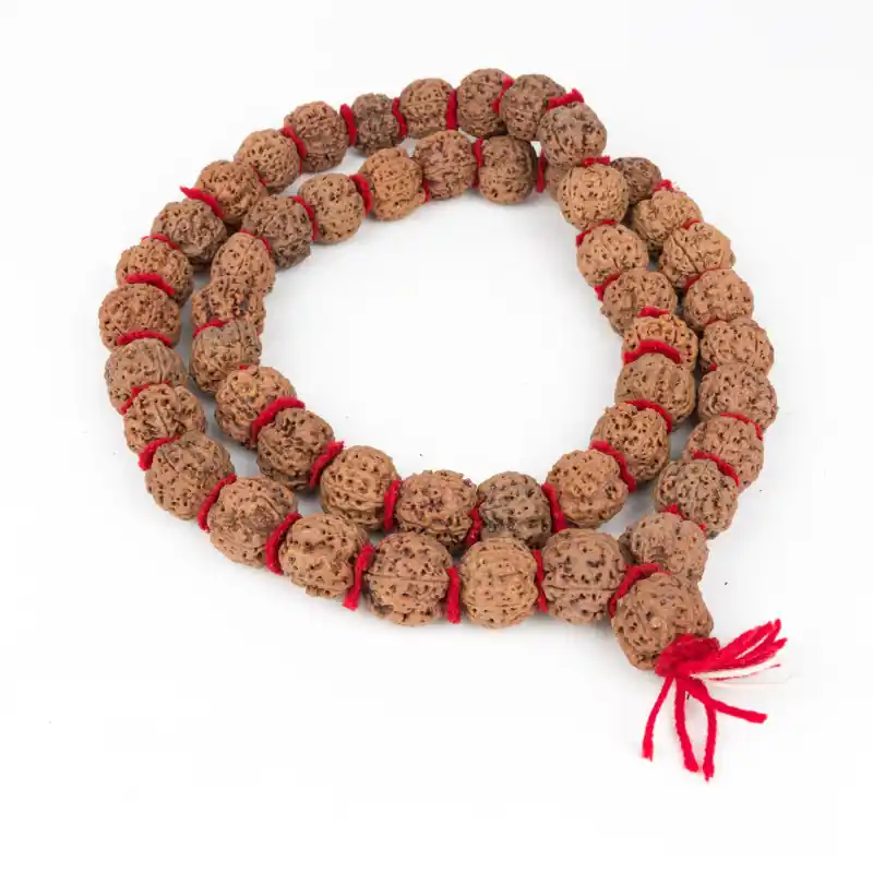 Chapelet hindou en grosses rudraksha - 54 graines