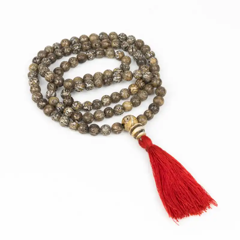 Collier coquillage gravé