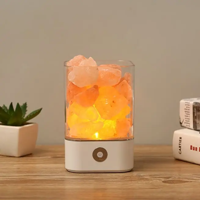 Lampe Sel de l'Himalaya