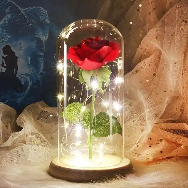 La Rose éternelle sous cloche