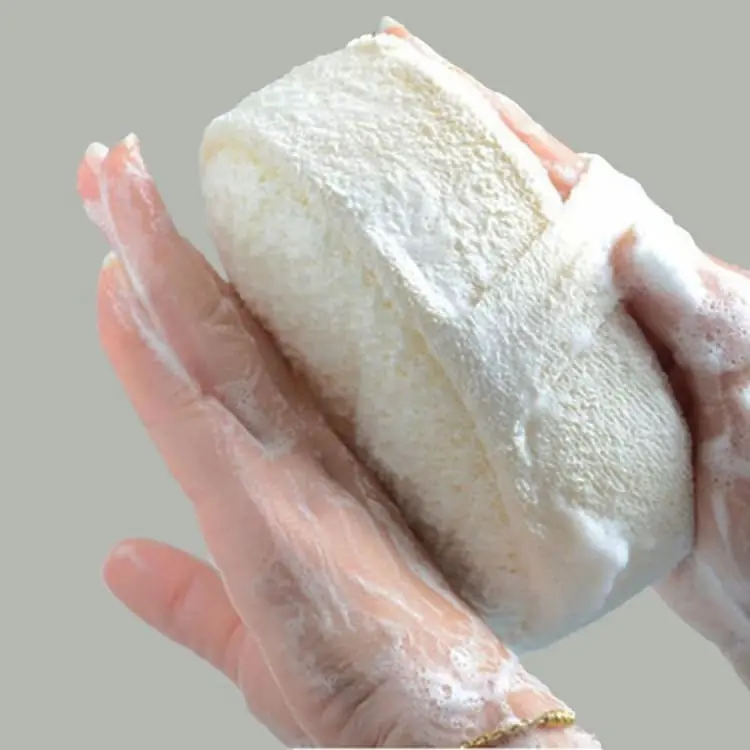 Eponge naturelle en Luffa