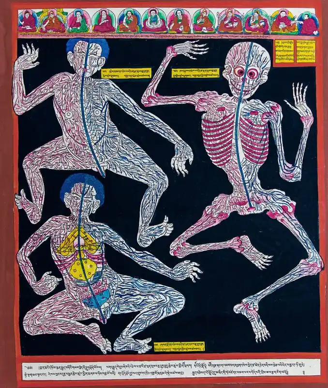 Thangka médical d’anatomie