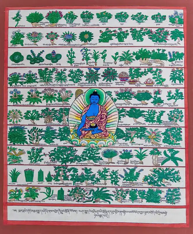 Thangka médical