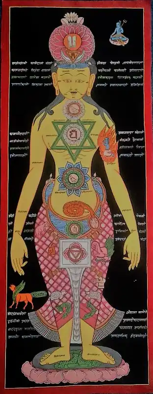 Le Système Tantrique des Chakras de Kundalini