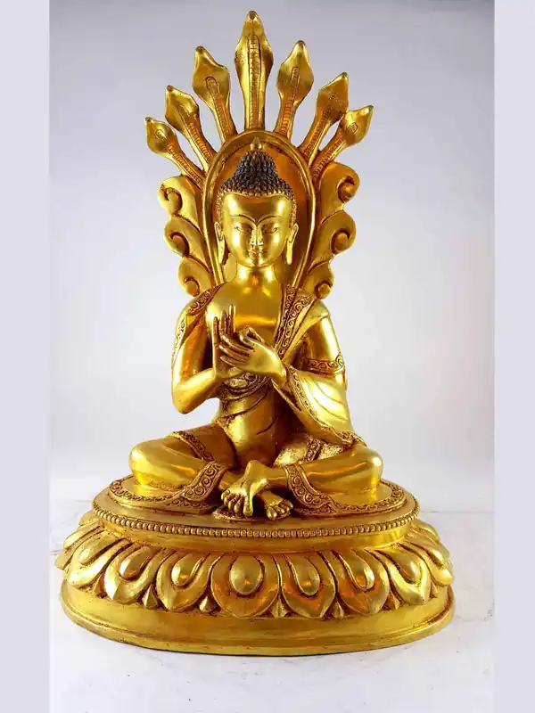 Statue de Nagarjuna Magasuddhi