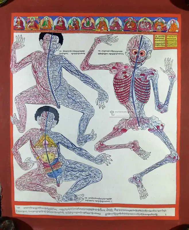 Thangka médical du système nerveux