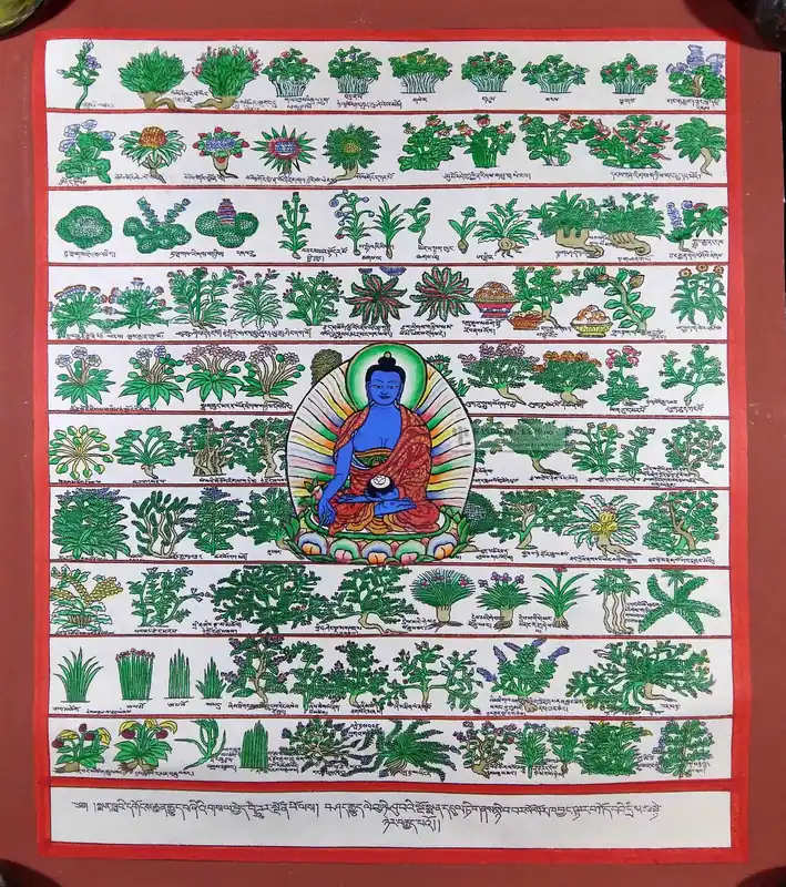 Thangka des herbes médicinales