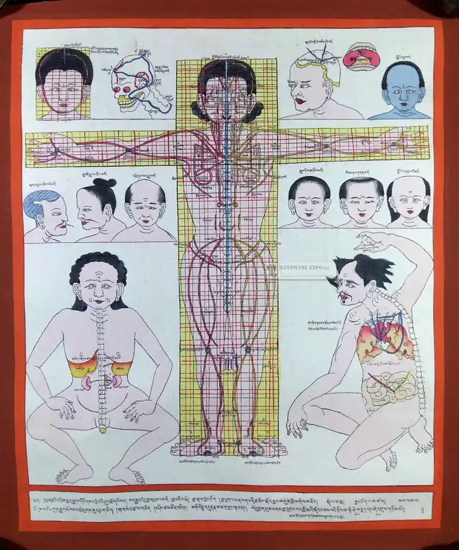 Système nerveux thangka médical tibétain