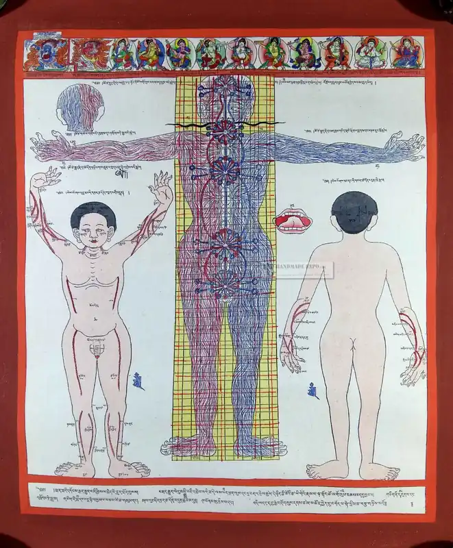 Thangka médical tibétain du système nerveux