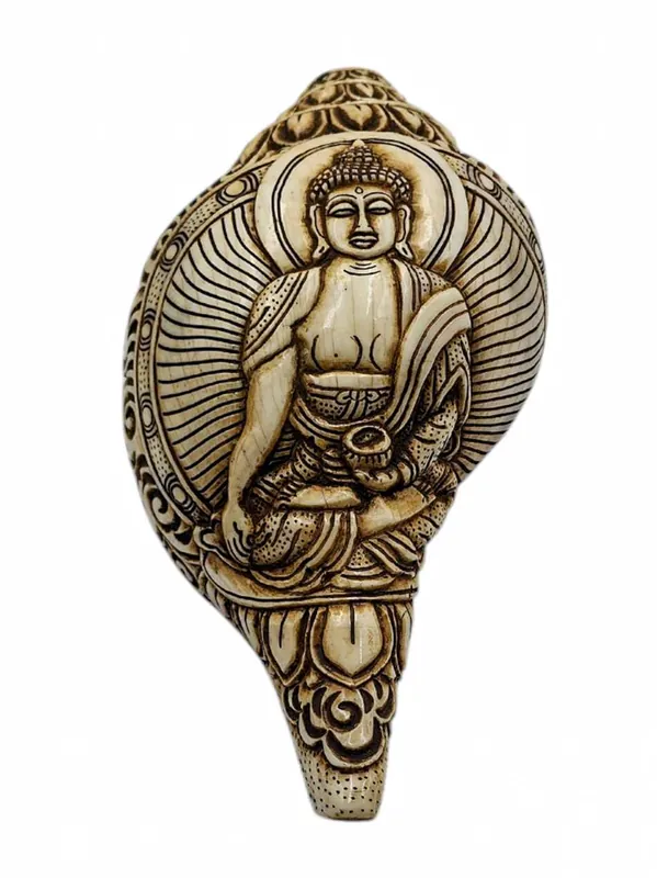 Conque sculptée à la main de Shakyamuni Bouddha