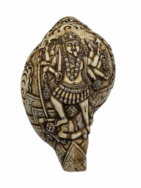 Conque de Kali – Outil rituel sacré