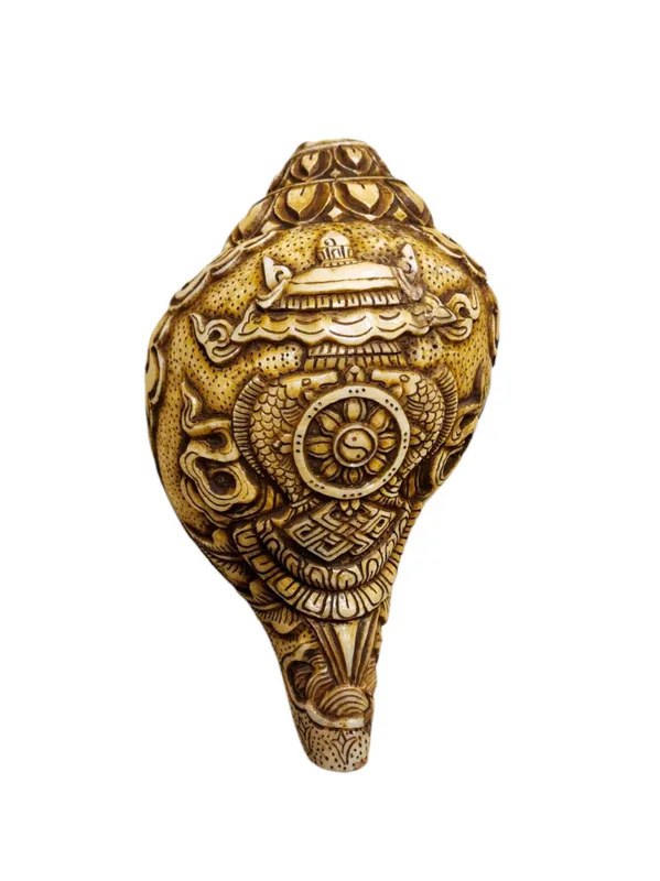 Coquille de conque Ashtamangala pour la prospérité