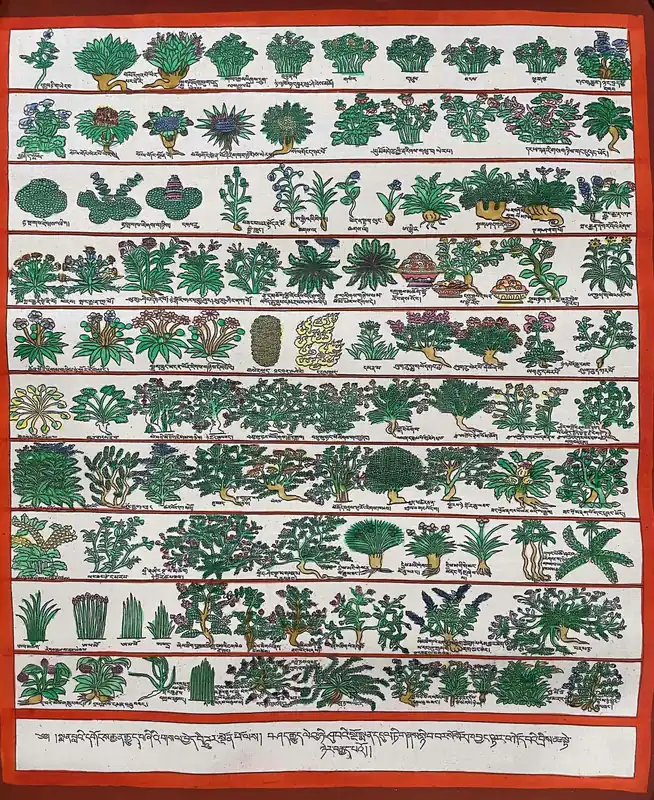 Thangka du Bouddha Médecin sur Canevas