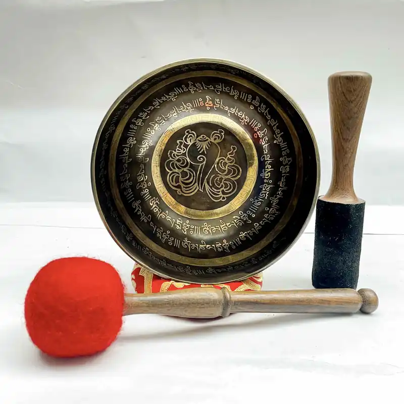 Coquillage sculpté en forme de bol